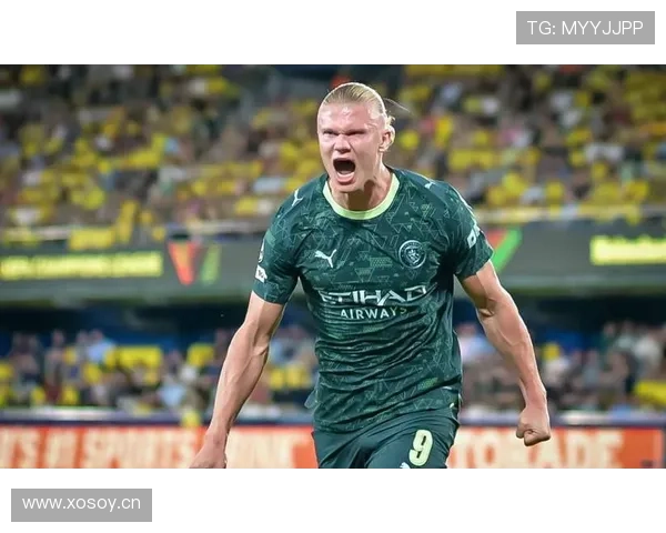 劳塔罗与哈兰德终结效率及战术角色差异分析 劳塔罗与哈兰德终结效率及战术角色差异分析