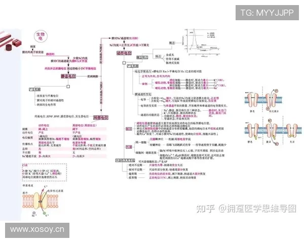 全面解读篮球规则中的连续动作判定机制